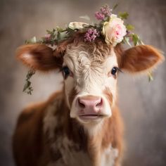 a brown and white cow wearing a flower crown