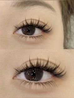 Eyelashes <3 Fake Eyelashes For Round Eyes, Natural Spikey Lash Extensions, Manga Style Lash Extensions, Different Lashes Styles, Soft Manga Lashes, Eyelashes Hooded Eyes, Doe Eyes Lashes, Wispy Manga Lashes