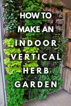 an outdoor vertical herb garden with the words how to make an indoor vertical herb garden