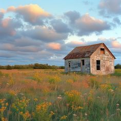 an old run down house in a field with wildflowers and clouds above it