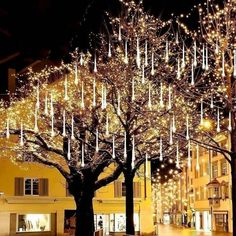 a large tree with lights hanging from it's branches