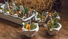 small trays filled with plants on top of a wooden table