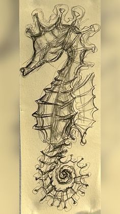 a drawing of a sea horse on a piece of paper that is drawn in pencil