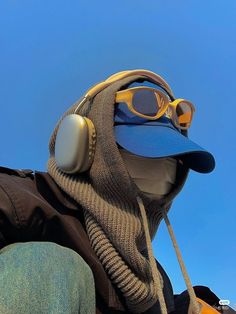 a bird wearing headphones and sunglasses on top of a person's shoulder with a blue sky in the background