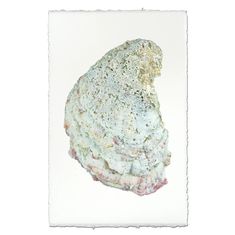 a piece of rock that is covered in dirt and sand, on a white background