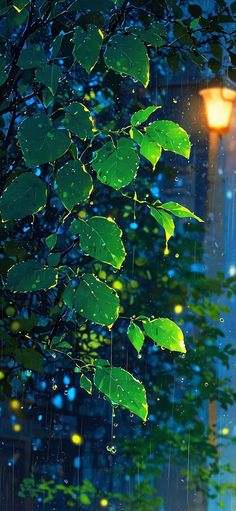 rain falling on the ground and green leaves in front of a street light at night