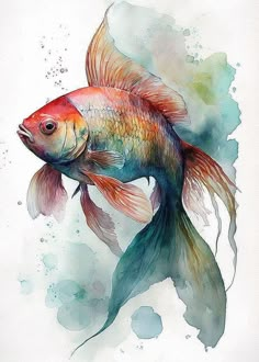 a painting of a goldfish with watercolors on it's back side