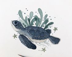 a drawing of a turtle with seaweed and starfish on it's back