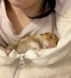 a woman is holding a hamster in her lap and she has it's head tucked under the hood