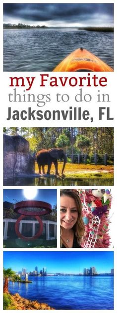 the cover of my favorite things to do in jacksonville, fl with images of boats and horses