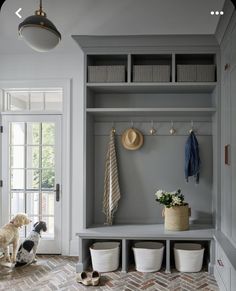 a dog is sitting on the floor in front of a coat rack and two baskets