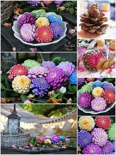 several different pictures of flowers and pine cones