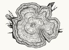 a black and white drawing of a tree stump