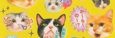 many different cats are depicted on this yellow background