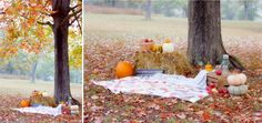 a picnic in the park with hay and pumpkins on it, next to a tree