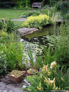 a pond surrounded by lots of plants and flowers