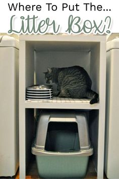 a cat sitting on top of a litter box