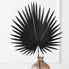 a black palm leaf in a vase on a table