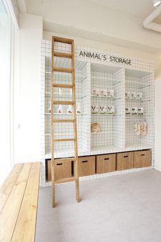 an animal's storage room with shelves and ladder