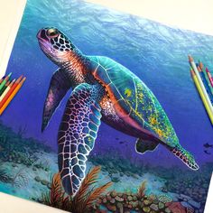 a painting of a turtle swimming in the ocean with colored pencils on it's side