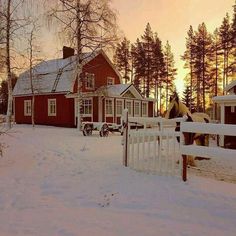 a horse standing in the snow next to a red house with white trim and windows