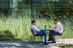 two men sitting at a table outside in front of some tall grass and plants, having a conversation