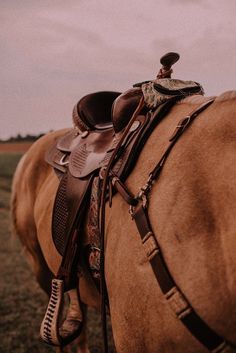 a saddled horse standing in the middle of a field