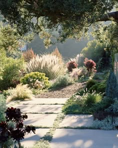 a garden with lots of trees and plants on the side of it, surrounded by shrubbery