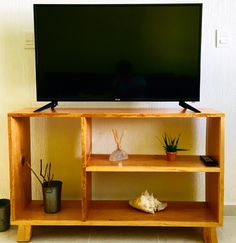 a flat screen tv sitting on top of a wooden shelf next to potted plants