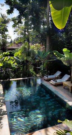 an outdoor swimming pool surrounded by trees and plants