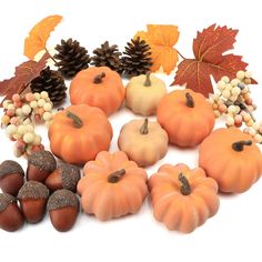 several pumpkins, acorns and pine cones are arranged on a white surface