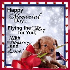 a happy memorial day card with a puppy holding a rose