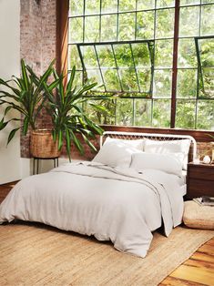 a bed with white sheets and pillows next to a large potted plant in front of a window