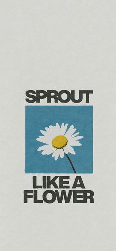 a white flower with the words sprout like a flower