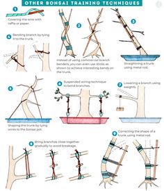 the instructions for how to make a tree house with branches and branches attached to it