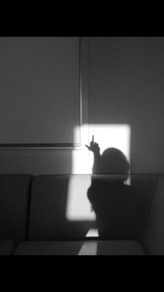 a black and white photo of a cat sitting on a couch in the sun,