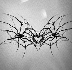 a black and white photo of a spider web