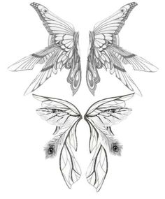 two butterflies with feathers on their wings and one is drawn in black ink, the other has