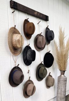 several hats hanging on a wall with hooks and a plant in front of the hat rack