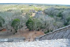 an aerial view of the ruins and surrounding trees