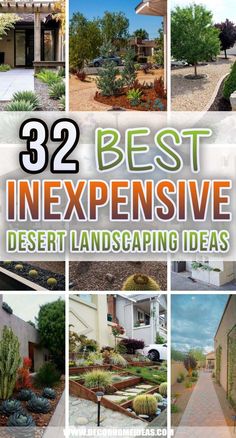 the cover of 52 best expensive desert landscaping ideas for your backyard or garden area, including trees and shrubs