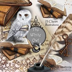 the white owl is sitting on top of an open book and feather quill pen