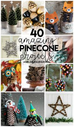 pinecone projects are great for the holidays and christmas tree decorations, but they're