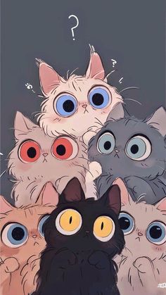 a group of cats with different colored eyes