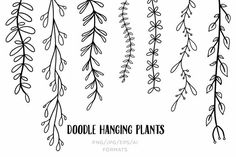 doodle hanging plants with the words,'doodle hanging plants'in black and white