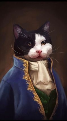 a black and white cat wearing a blue coat with a gold trim around it's neck