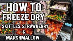 how to freeze dry skittles, strawberries and marshmallows in an icebox