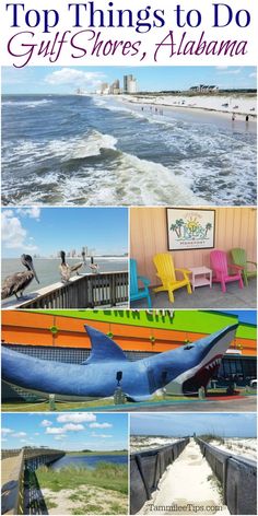 the top things to do in gulf shores, alumama with text overlay