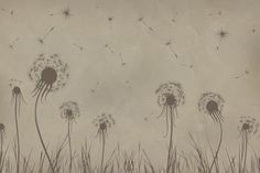 the dandelions are blowing in the wind