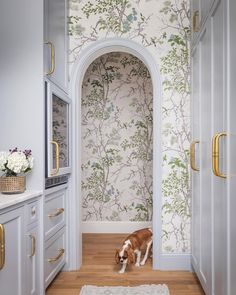 a brown and white dog is standing in the doorway to a bathroom with floral wallpaper